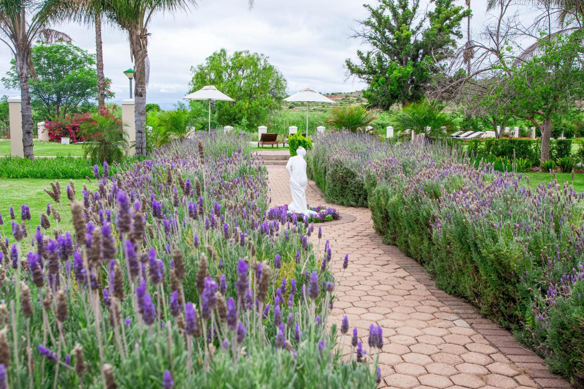 Bakenskraal Ostrich Palace Oudtshoorn Eksteriør billede